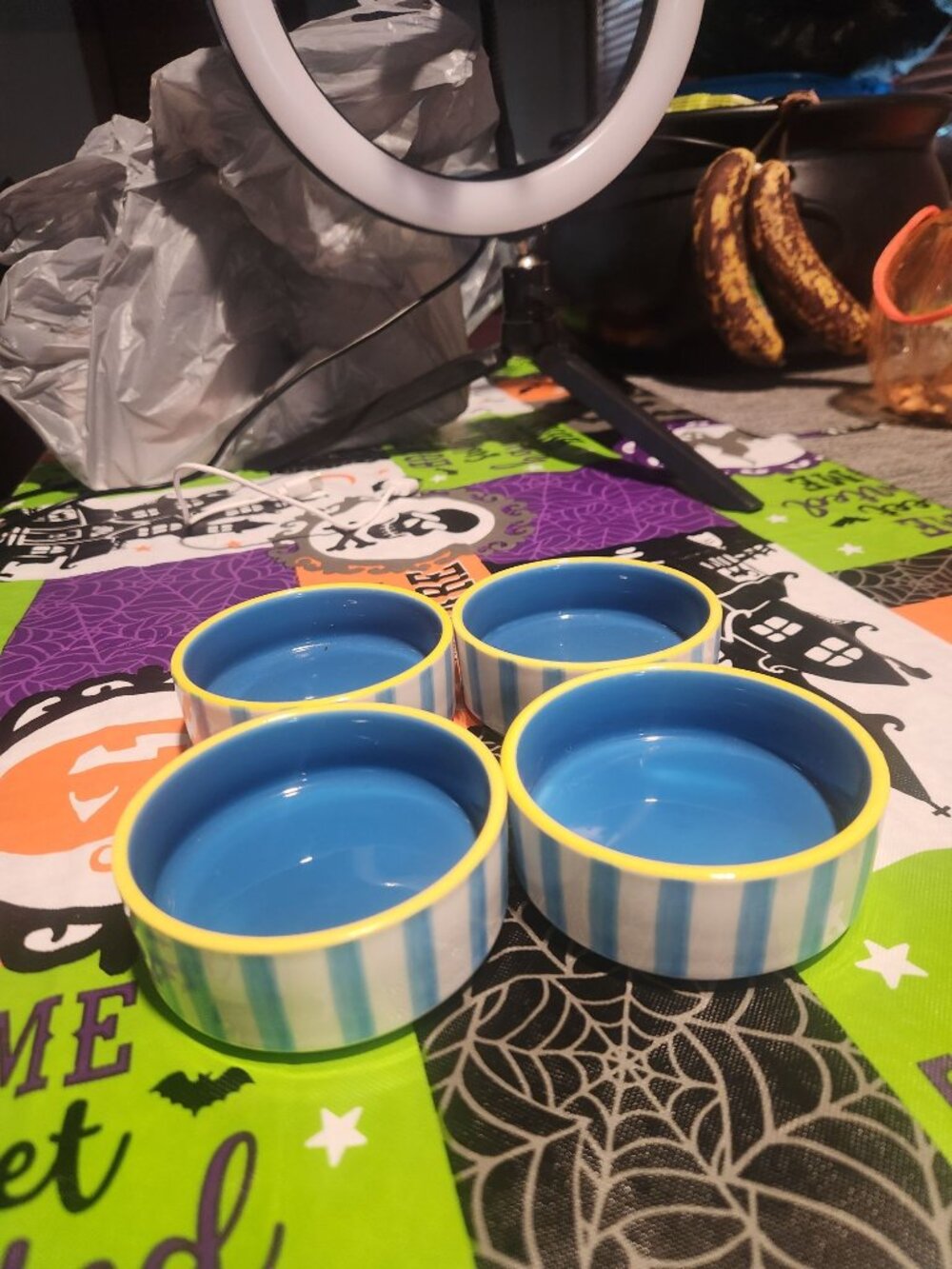 Multicolor Striped Set of 4 Pet Bowls